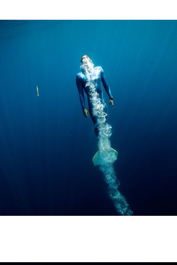 Deep Dive in Zero Knowledge - Introduction